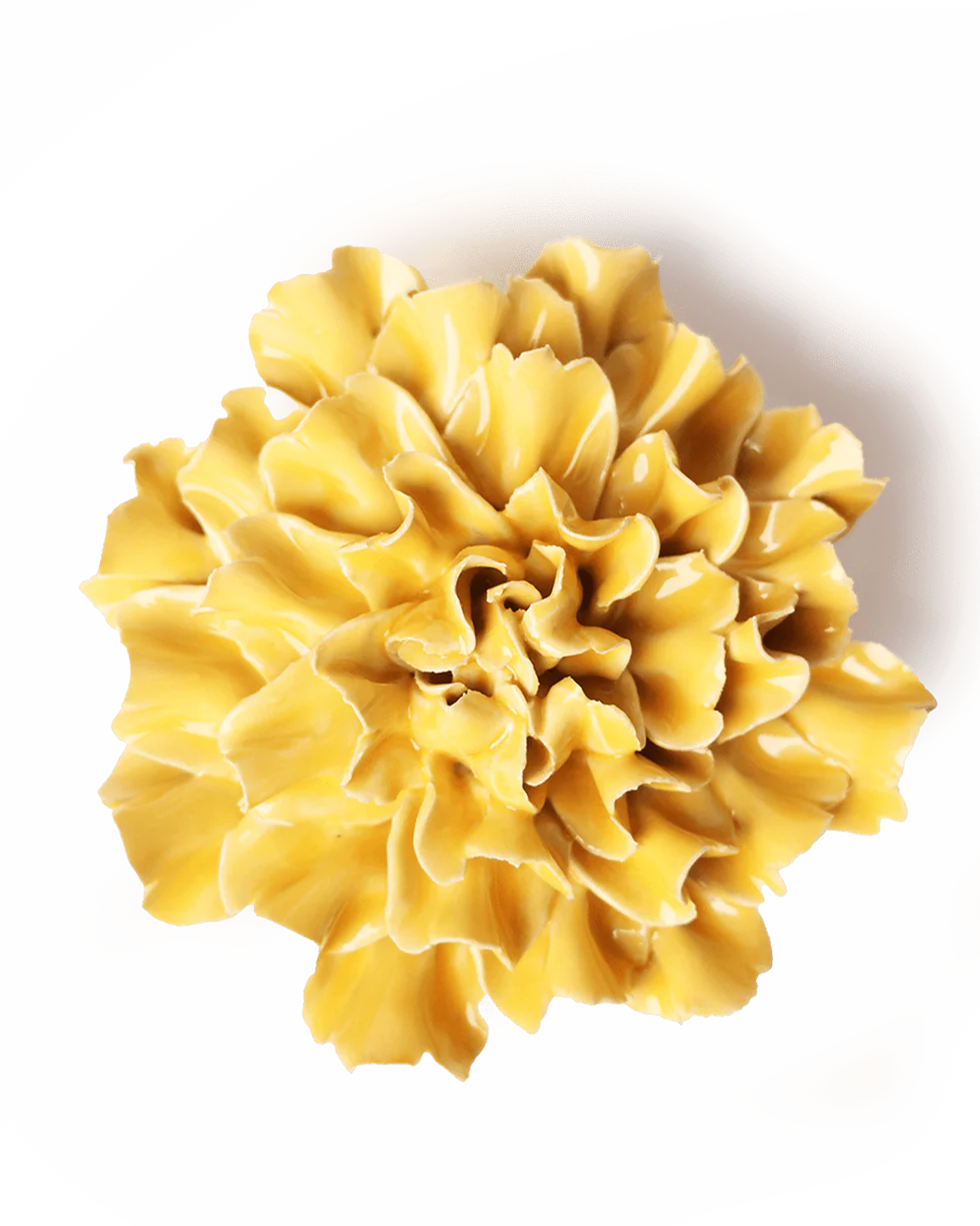 Yellow Carnation Wall Flower