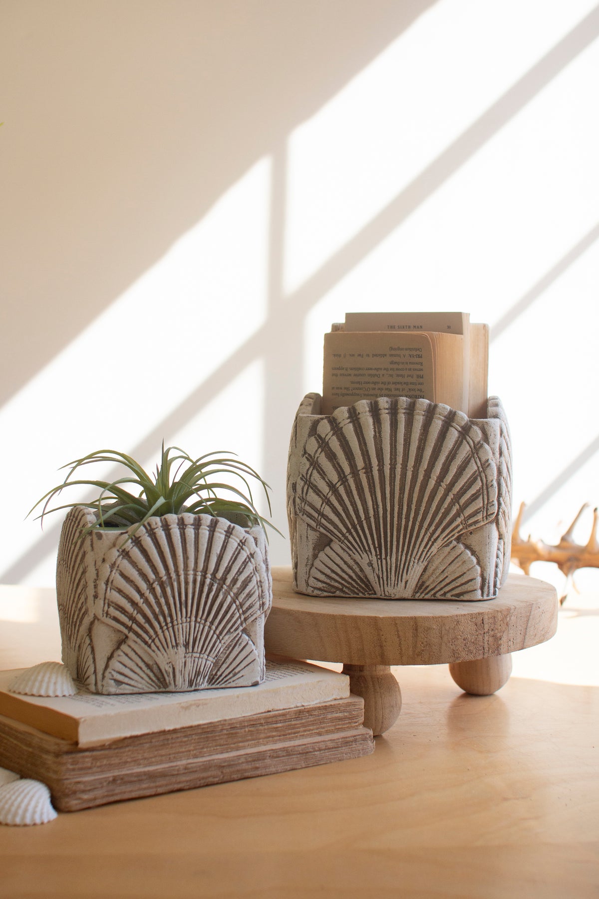 Set of Two Cement Shell Planters #1