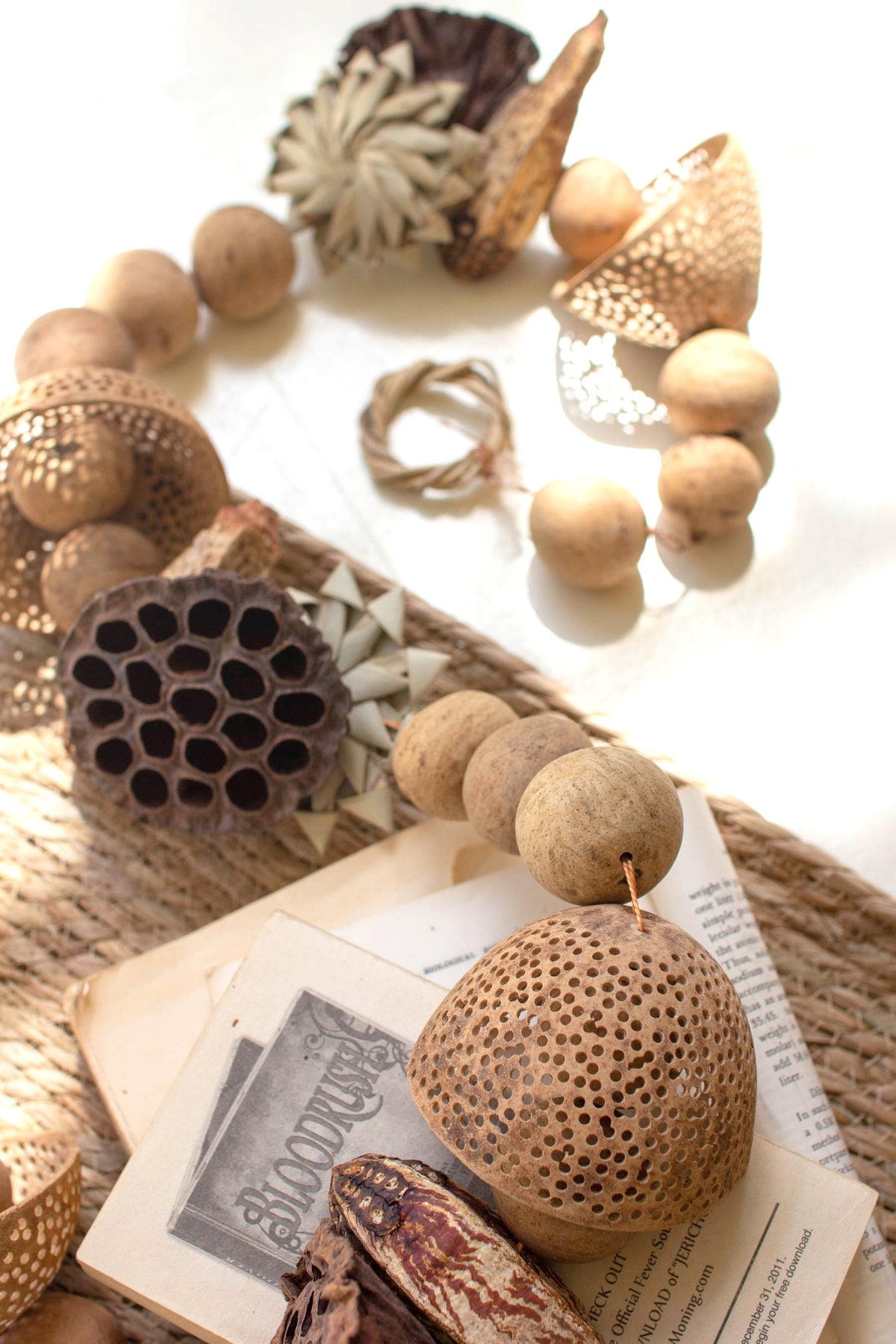 Mixed Dried Botanical Garland