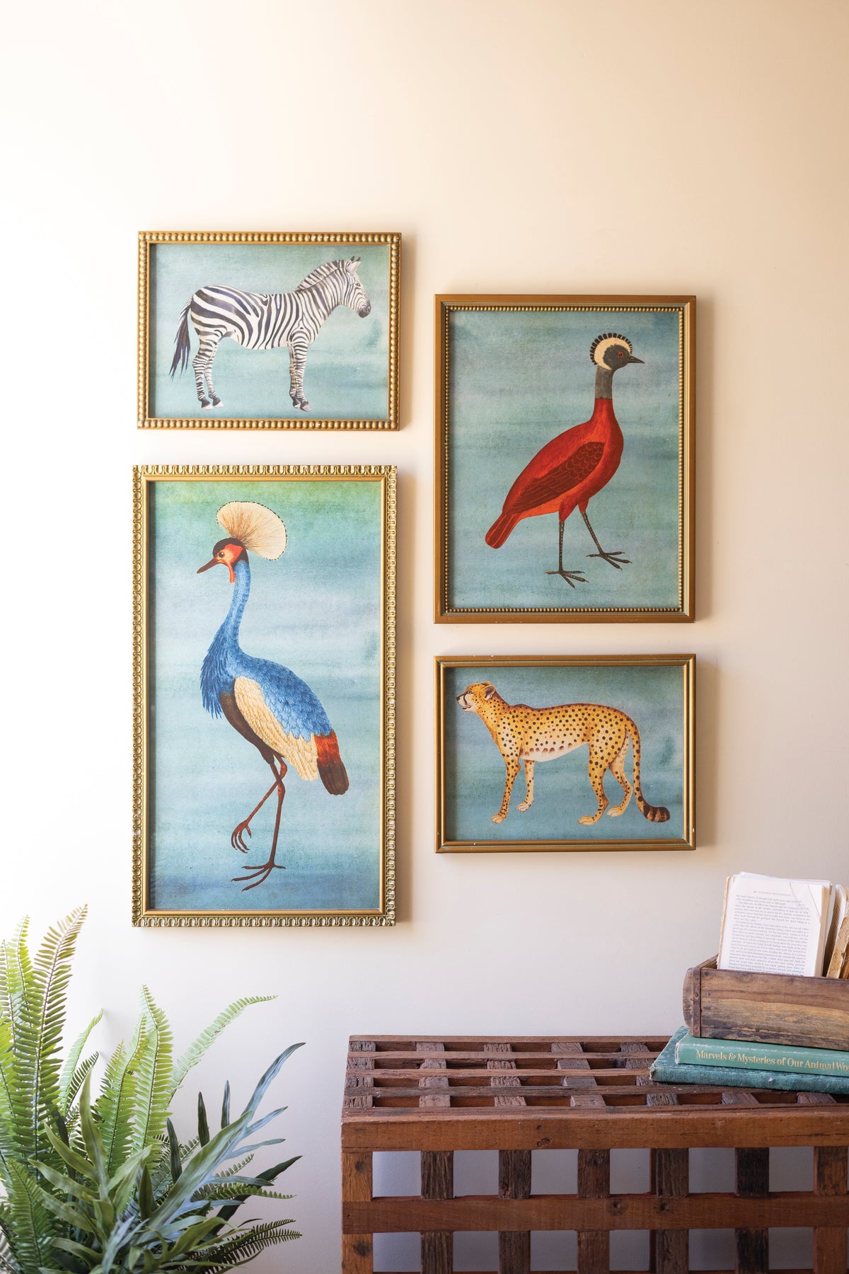 Set of Four Framed Birds and Animal Prints Under Glass