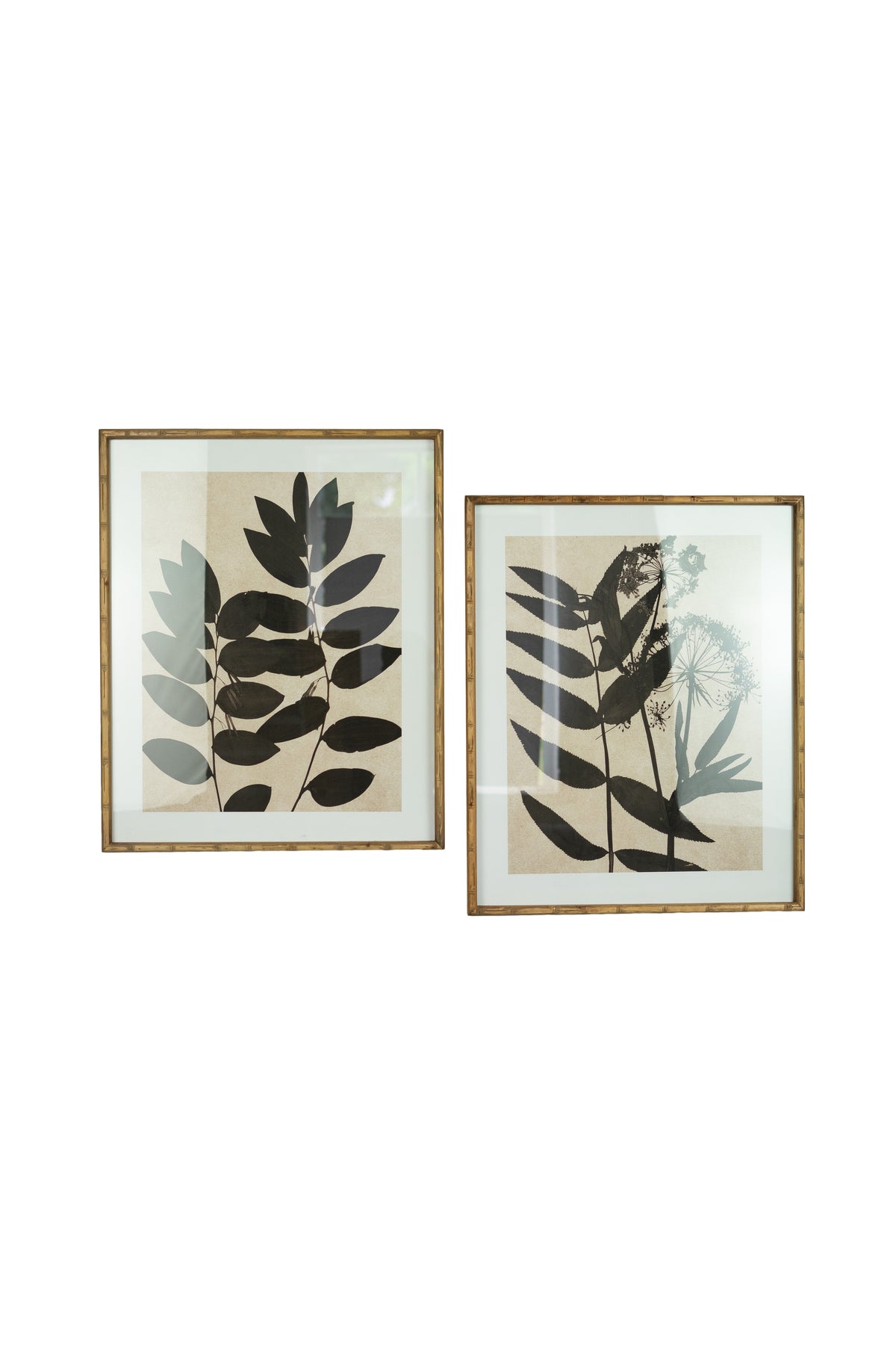 Set of Two Leaf Prints Under Glass with Natural Frame