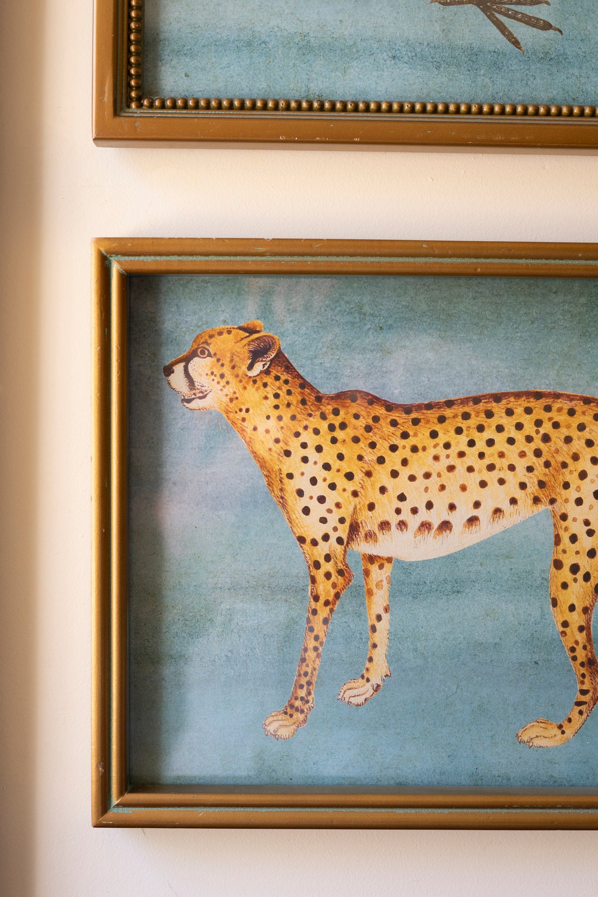 Set of Four Framed Birds and Animal Prints Under Glass