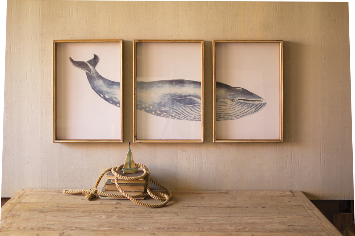 Triptych Framed Whale Print Under Glass
