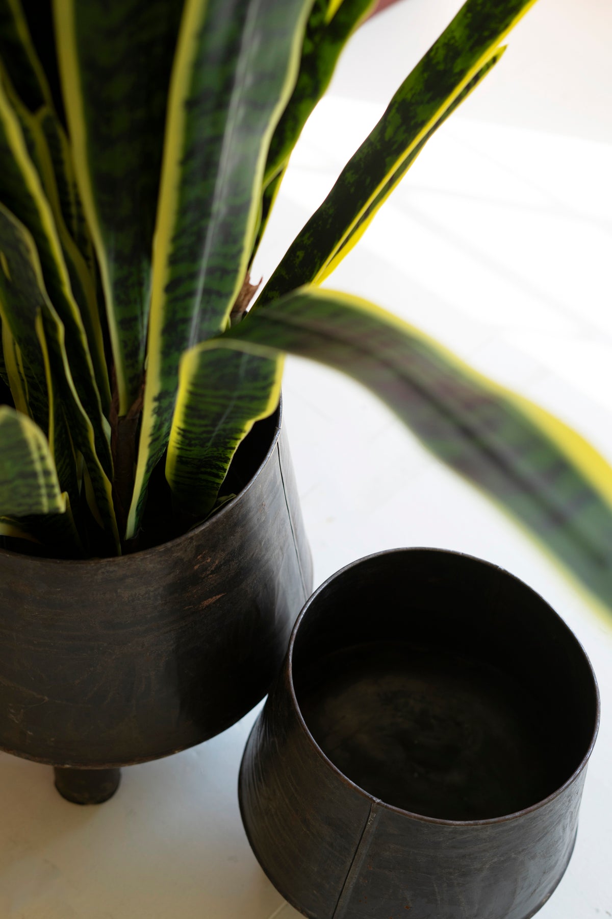 Set of Two Hand - Hammered Iron Planters with Legs