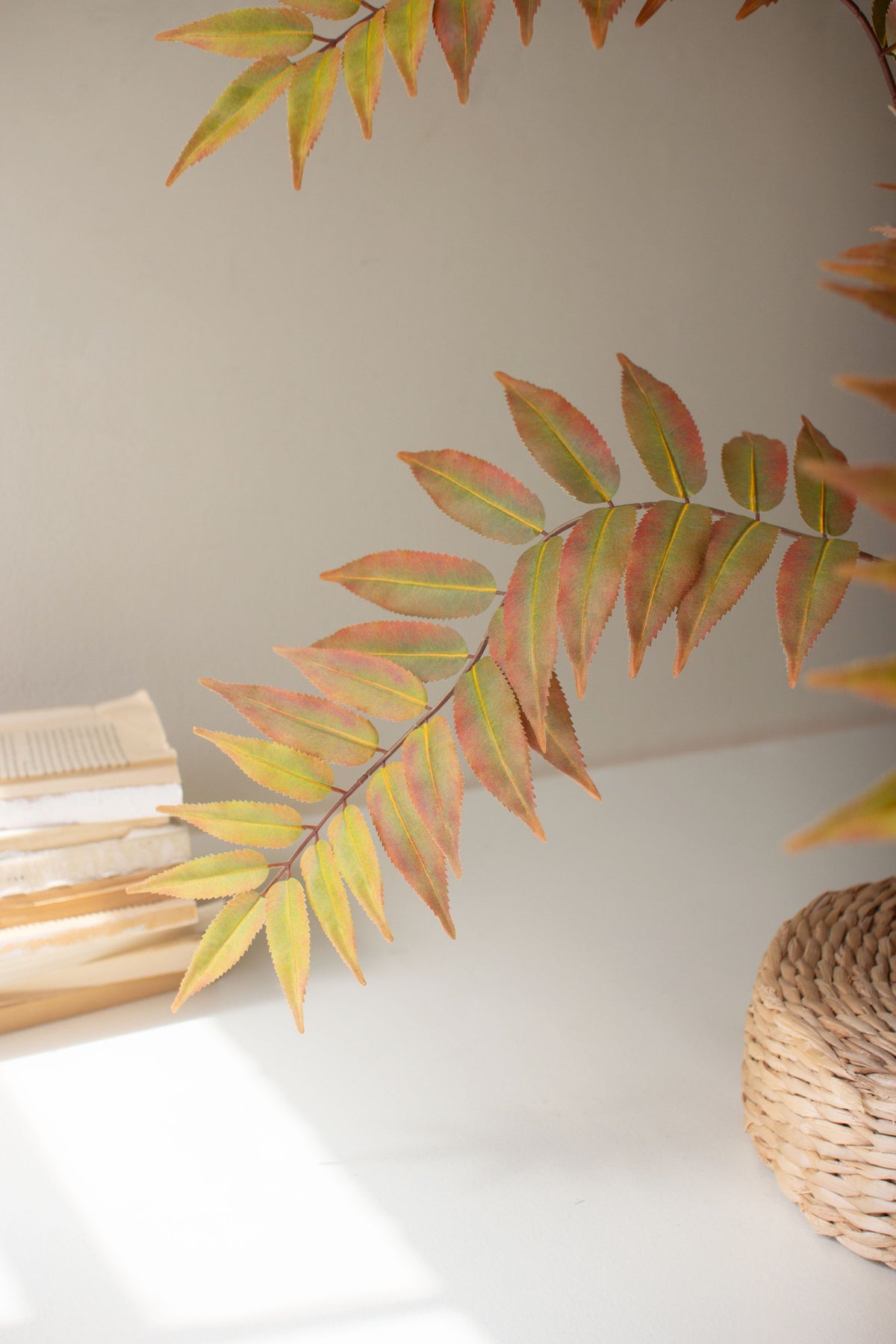 Artificial Yellow Fern in a Black Pot