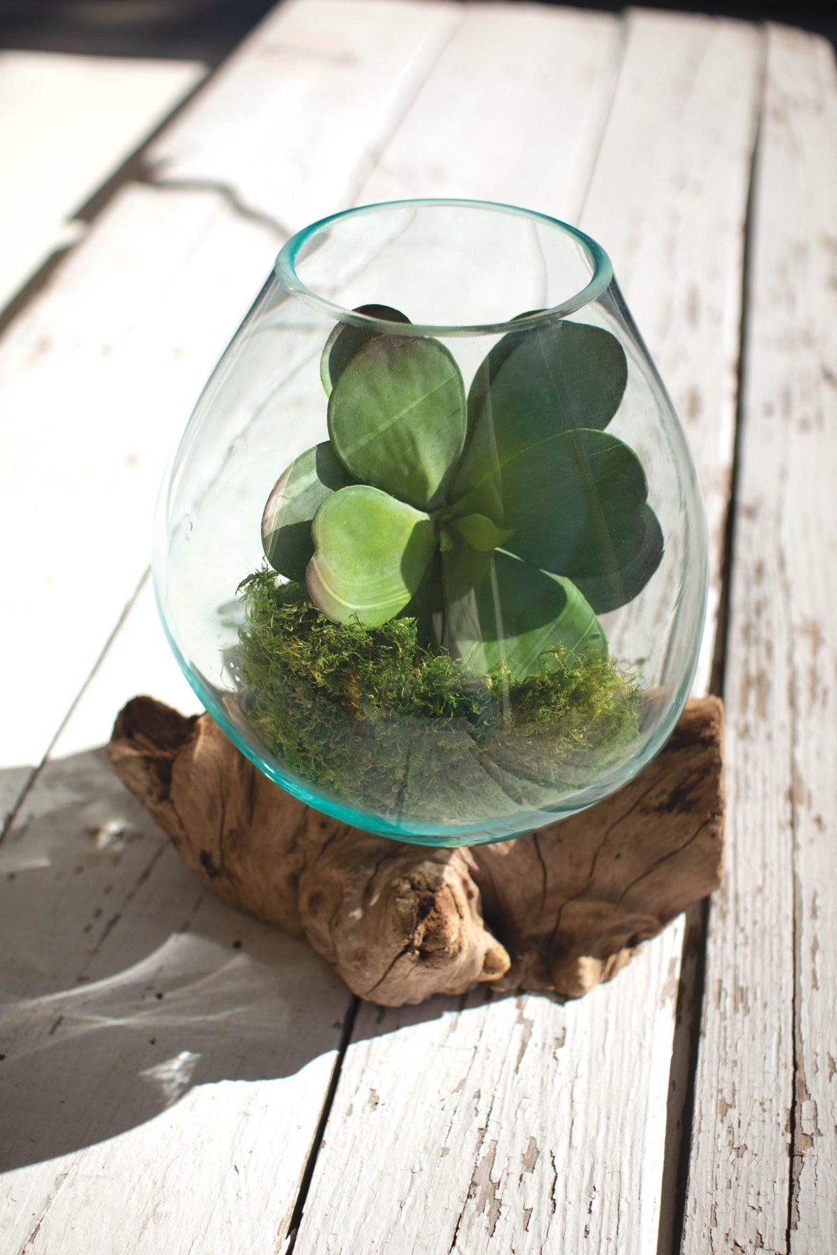 Blown Glass Bowl on Driftwood Base – LARGE