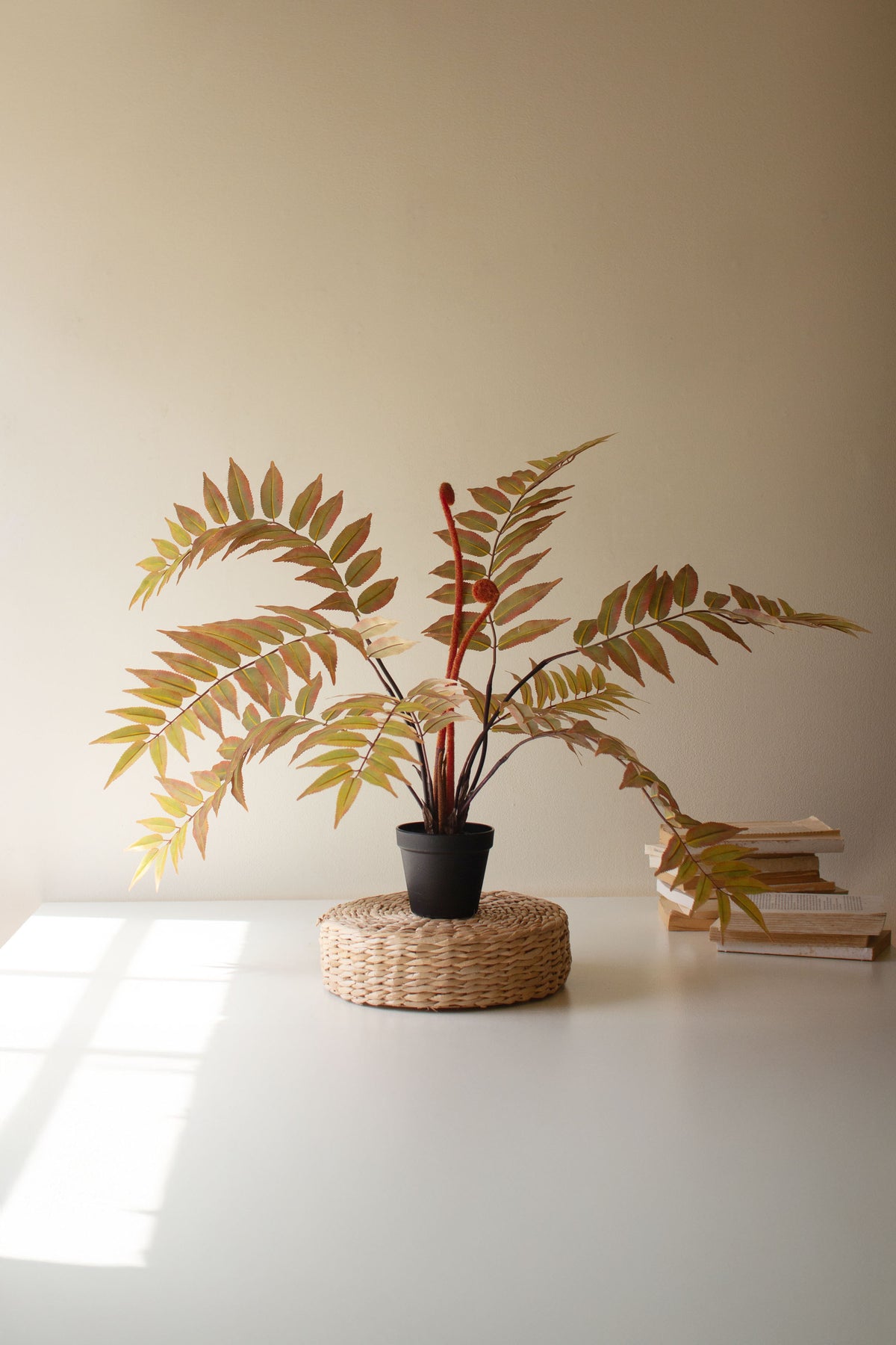 Artificial Yellow Fern in a Black Pot