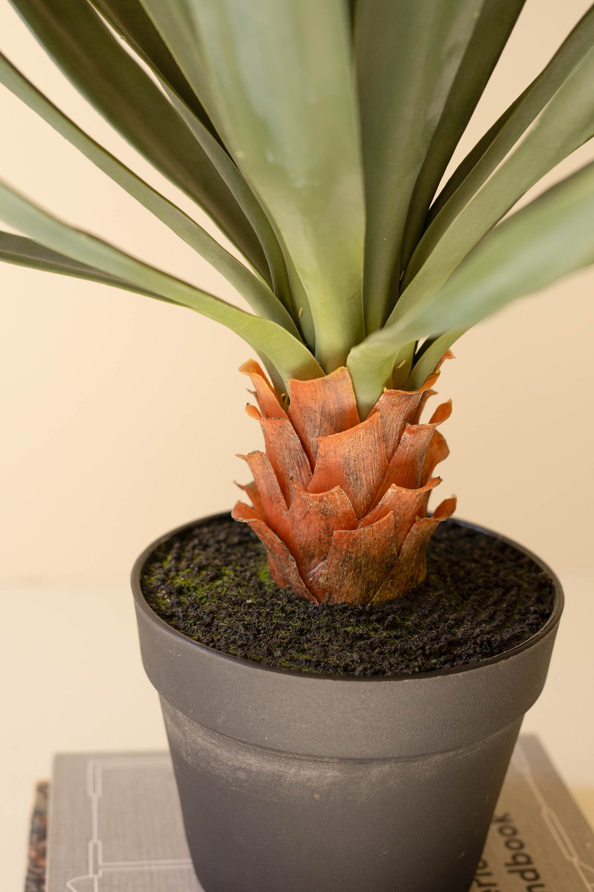 Artificial Sisal Plant in Black Plastic Pot - 27"